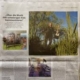 Porträt über Sio Steinberger in der Printausgabe der Süddeutschen Zeitung Titel: